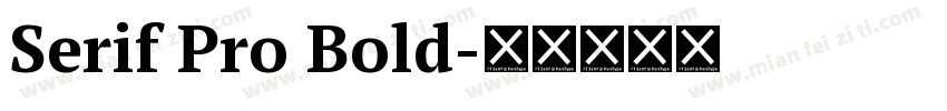 Serif Pro Bold字体转换